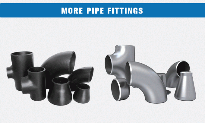 16 "لحام رقبة مزورة A105 Din Pn40 شفة كبيرة قطرها صلب الكربون 3